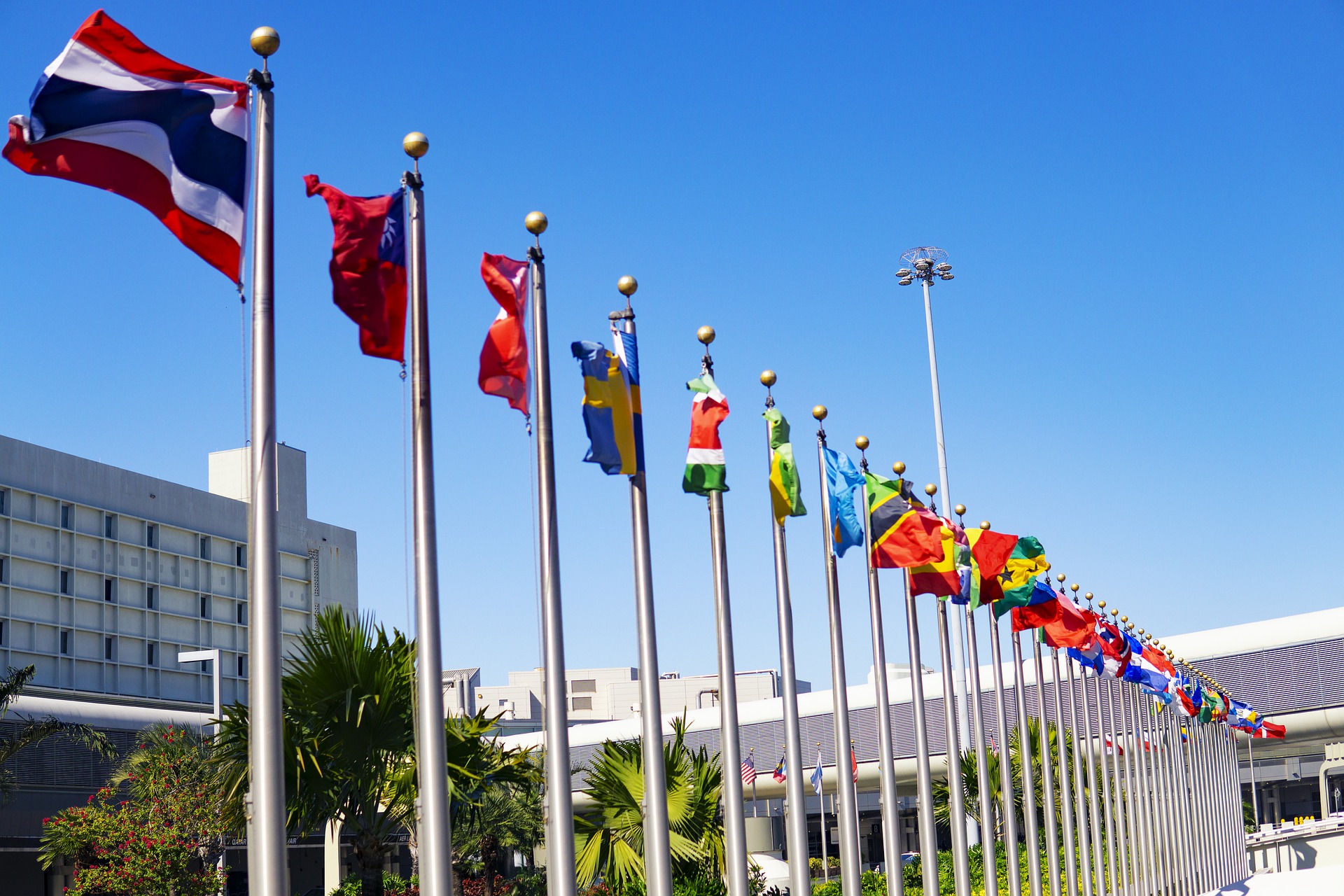 Earth International Meeting flags