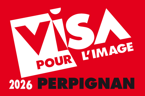 LOGO VISA2014