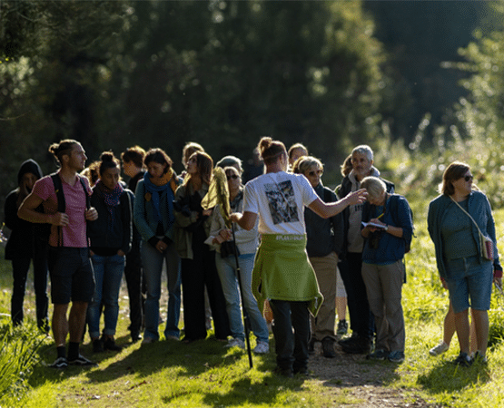 nef 2025 observatoire square