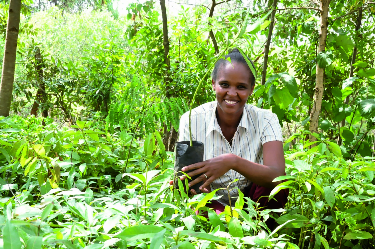 Ruhama Getahun,, Terre de femmes winner commited to reforestation in Ethiopia