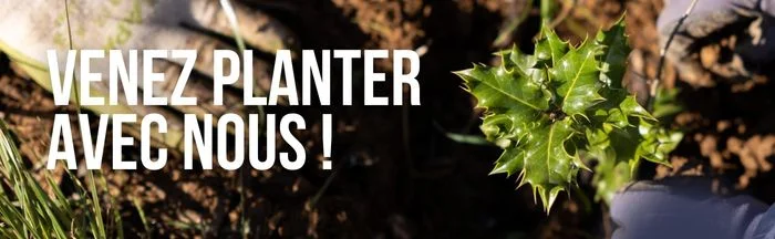 Venez plnater avec nous Fondation Yves Rocher