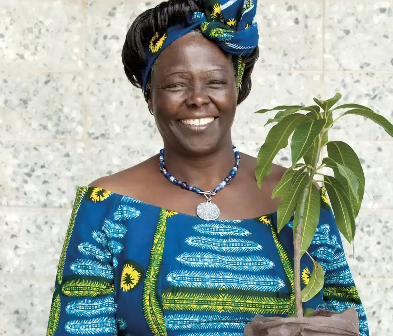 wangari maathai home (1) (1)