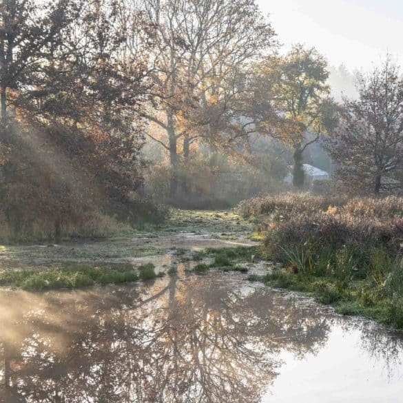 Les zones Humides de l'Observatoire - Emmanuel Berthier