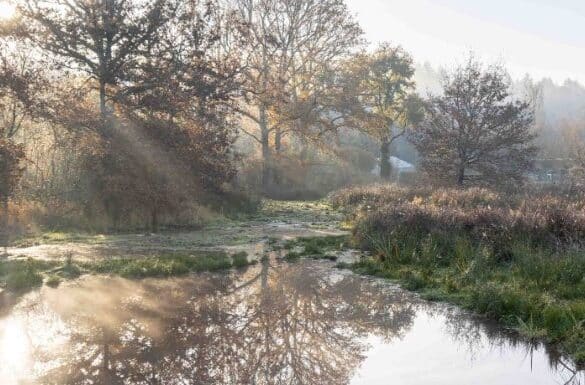 zoneshumides opt (1)