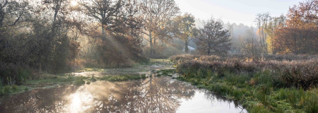 zoneshumides opt (1)